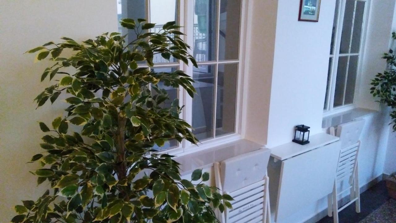 Apartmani Lela 塞尔瑟 外观 照片