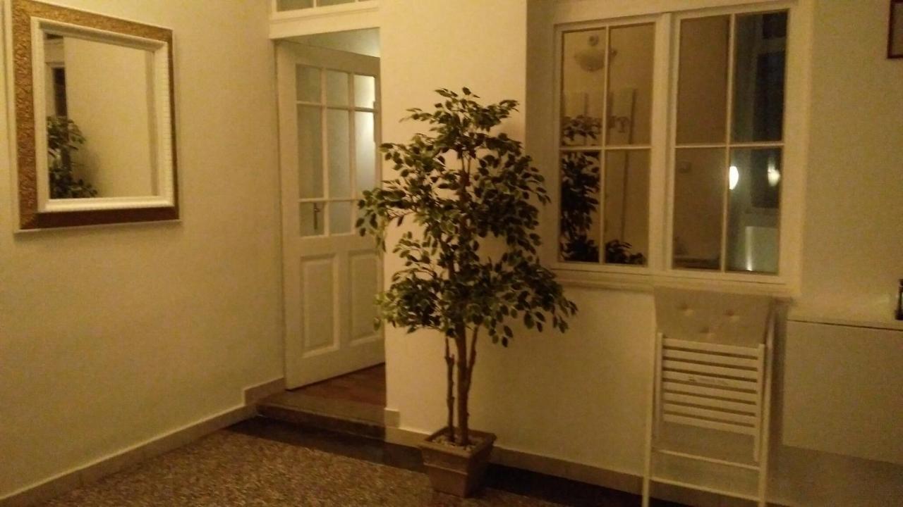 Apartmani Lela 塞尔瑟 外观 照片